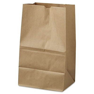 20LB HD DOUBLE WALL BROWN PAPER BAG